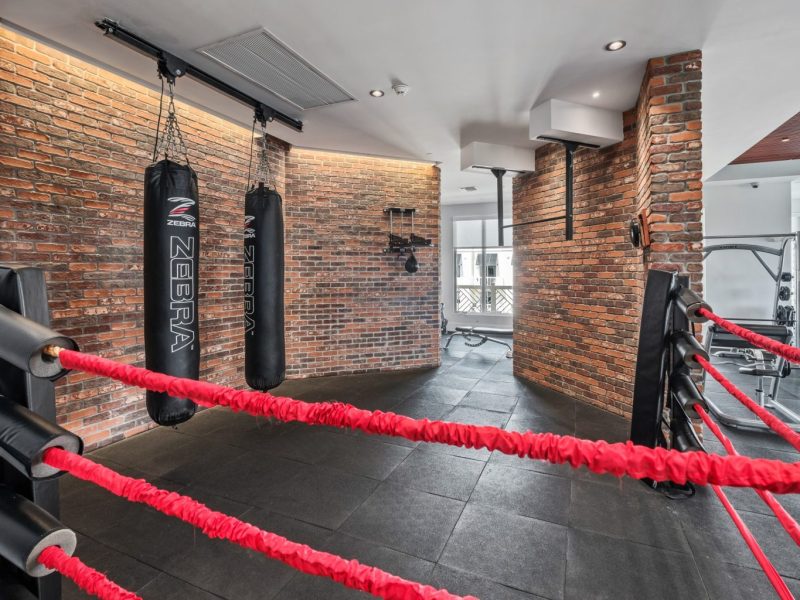 This image shows the Premium Community Amenities, especially the fitness gym featuring the boxing ring and punching bags. This area is a place for an Aerobic exercise that will get your heart pumping and helps lower the risk of high blood pressure, heart disease, stroke, and diabetes. It can strengthen bones and muscles, burn more calories, and lift the mood.
